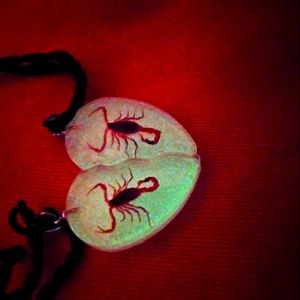 Scorpion resin jewelry